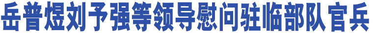 岳普煜劉予強等領導慰問駐臨部隊官兵