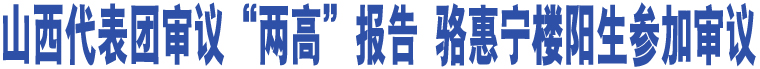 山西代表團(tuán)審議“兩高”報(bào)告 駱惠寧樓陽(yáng)生參加審議