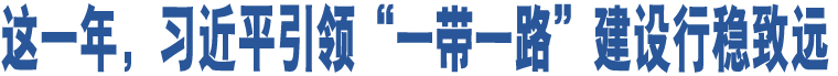 這一年，習(xí)近平引領(lǐng)“一帶一路”建設(shè)行穩(wěn)致遠(yuǎn)