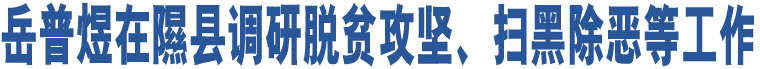 岳普煜在隰縣調(diào)研脫貧攻堅(jiān)、掃黑除惡等工作