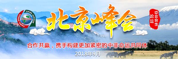 2018年中非合作論壇北京峰會(huì)