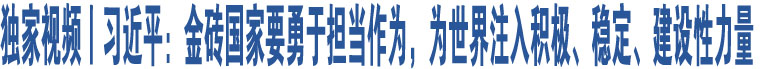 獨家視頻丨習近平：金磚國家要勇于擔當作為，為世界注入積極、穩(wěn)定、建設性力量