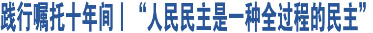 踐行囑托十年間丨“人民民主是一種全過程的民主”