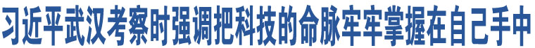 習(xí)近平武漢考察時(shí)強(qiáng)調(diào)把科技的命脈牢牢掌握在自己手中