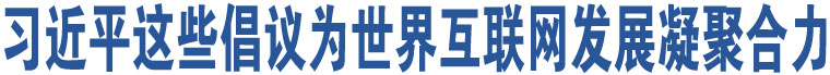 習近平這些倡議為世界互聯(lián)網(wǎng)發(fā)展凝聚合力