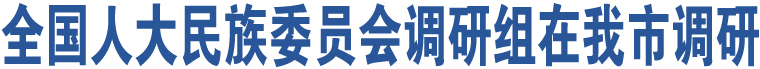 全國人大民族委員會調(diào)研組在我市調(diào)研