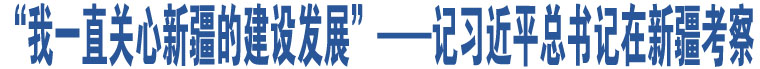 “我一直關(guān)心新疆的建設(shè)發(fā)展”——記習近平總書記在新疆考察