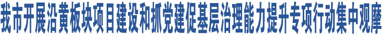 我市開展沿黃板塊項目建設和抓黨建促基層治理能力提升專項行動集中觀摩