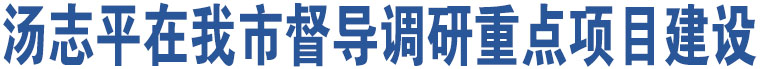 湯志平在我市督導(dǎo)調(diào)研重點(diǎn)項目建設(shè)