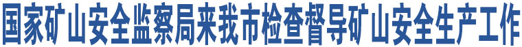 國家礦山安全監(jiān)察局來我市檢查督導(dǎo)礦山安全生產(chǎn)工作