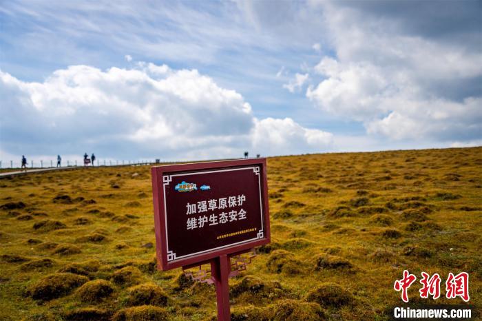 馬侖草原的修復治理以保護和自然修復為主。　馬夢迪 攝