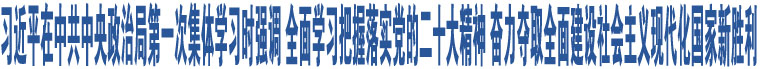 習近平在中共中央政治局第一次集體學習時強調 全面學習把握落實黨的二十大精神 奮力奪取全面建設社會主義現(xiàn)代化國家新勝利