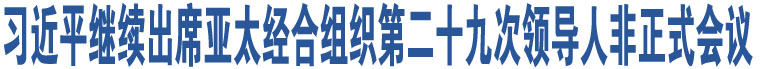 習近平繼續(xù)出席亞太經合組織第二十九次領導人非正式會議