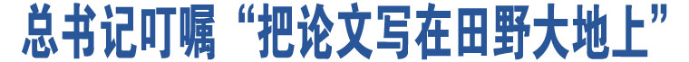 總書記叮囑“把論文寫在田野大地上”