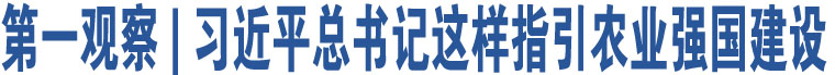 第一觀察 | 習(xí)近平總書記這樣指引農(nóng)業(yè)強(qiáng)國建設(shè) 