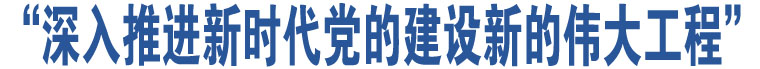 “深入推進(jìn)新時(shí)代黨的建設(shè)新的偉大工程”