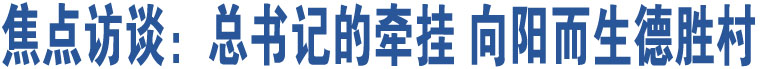 焦點(diǎn)訪談：總書記的牽掛 向陽而生德勝村