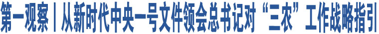 第一觀察丨從新時代中央一號文件領(lǐng)會總書記對“三農(nóng)”工作戰(zhàn)略指引