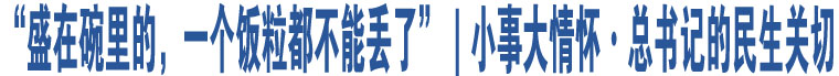 “盛在碗里的，一個(gè)飯粒都不能丟了”｜小事大情懷·總書記的民生關(guān)切