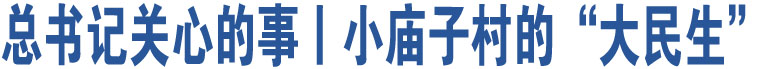 總書(shū)記關(guān)心的事丨小廟子村的“大民生”