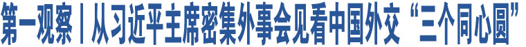 第一觀察丨從習(xí)近平主席密集外事會見看中國外交“三個(gè)同心圓”