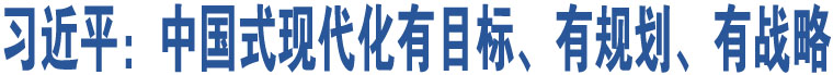 習(xí)近平：中國式現(xiàn)代化有目標(biāo)、有規(guī)劃、有戰(zhàn)略