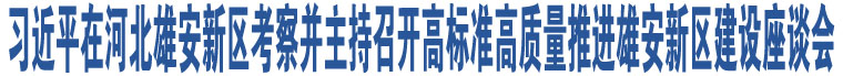 習(xí)近平在河北雄安新區(qū)考察并主持召開高標(biāo)準(zhǔn)高質(zhì)量推進(jìn)雄安新區(qū)建設(shè)座談會(huì)