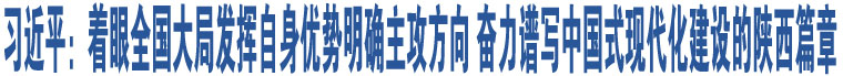 習(xí)近平：著眼全國大局發(fā)揮自身優(yōu)勢(shì)明確主攻方向 奮力譜寫中國式現(xiàn)代化建設(shè)的陜西篇章