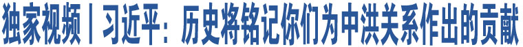 獨家視頻丨習近平：歷史將銘記你們?yōu)橹泻殛P(guān)系作出的貢獻