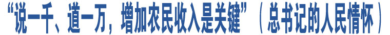 “說一千、道一萬，增加農(nóng)民收入是關鍵”（總書記的人民情懷）