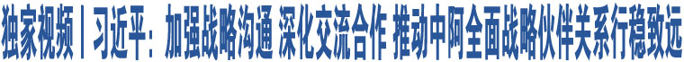 獨(dú)家視頻丨習(xí)近平：加強(qiáng)戰(zhàn)略溝通 深化交流合作 推動中阿全面戰(zhàn)略伙伴關(guān)系行穩(wěn)致遠(yuǎn)