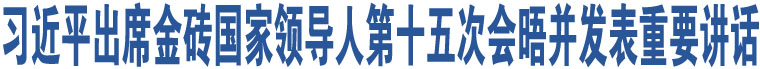 習(xí)近平出席金磚國家領(lǐng)導(dǎo)人第十五次會晤并發(fā)表重要講話