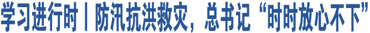 學(xué)習(xí)進(jìn)行時(shí)丨防汛抗洪救災(zāi)，總書記“時(shí)時(shí)放心不下”