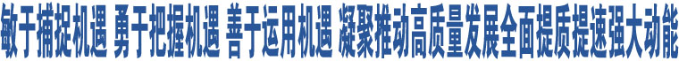 敏于捕捉機(jī)遇 勇于把握機(jī)遇 善于運(yùn)用機(jī)遇 凝聚推動高質(zhì)量發(fā)展全面提質(zhì)提速強(qiáng)大動能