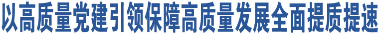 以高質(zhì)量黨建引領(lǐng)保障高質(zhì)量發(fā)展全面提質(zhì)提速