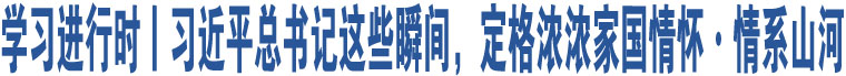 學(xué)習(xí)進行時丨習(xí)近平總書記這些瞬間，定格濃濃家國情懷·情系山河