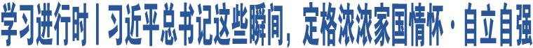 學(xué)習(xí)進行時丨習(xí)近平總書記這些瞬間，定格濃濃家國情懷·自立自強