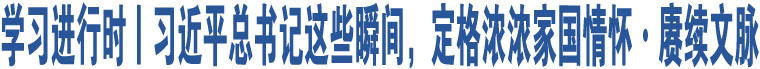 學(xué)習(xí)進行時丨習(xí)近平總書記這些瞬間，定格濃濃家國情懷·賡續(xù)文脈 