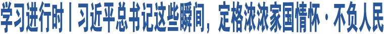 學(xué)習(xí)進行時丨習(xí)近平總書記這些瞬間，定格濃濃家國情懷·不負人民