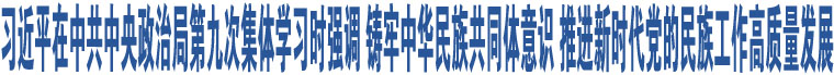 習(xí)近平在中共中央政治局第九次集體學(xué)習(xí)時(shí)強(qiáng)調(diào) 鑄牢中華民族共同體意識(shí) 推進(jìn)新時(shí)代黨的民族工作高質(zhì)量發(fā)展