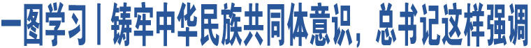 一圖學(xué)習(xí)丨鑄牢中華民族共同體意識(shí)，總書記這樣強(qiáng)調(diào)