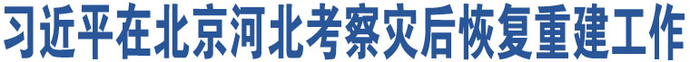 習(xí)近平在北京河北考察災(zāi)后恢復(fù)重建工作