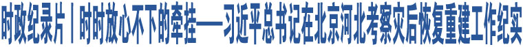 時(shí)政紀(jì)錄片丨時(shí)時(shí)放心不下的牽掛——習(xí)近平總書(shū)記在北京河北考察災(zāi)后恢復(fù)重建工作紀(jì)實(shí)