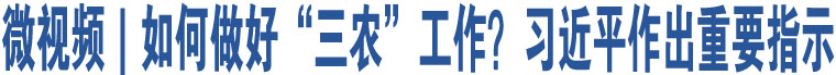 微視頻｜如何做好“三農(nóng)”工作？習(xí)近平作出重要指示