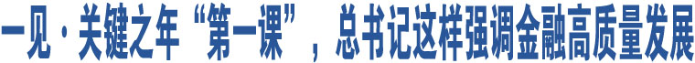 一見·關(guān)鍵之年“第一課”，總書記這樣強調(diào)金融高質(zhì)量發(fā)展