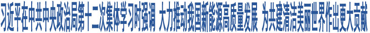 習(xí)近平在中共中央政治局第十二次集體學(xué)習(xí)時(shí)強(qiáng)調(diào) 大力推動(dòng)我國(guó)新能源高質(zhì)量發(fā)展 為共建清潔美麗世界作出更大貢獻(xiàn)