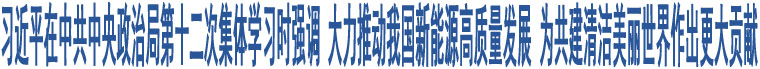 習(xí)近平在中共中央政治局第十二次集體學(xué)習(xí)時(shí)強(qiáng)調(diào) 大力推動(dòng)我國(guó)新能源高質(zhì)量發(fā)展 為共建清潔美麗世界作出更大貢獻(xiàn)