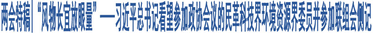 “風(fēng)物長宜放眼量”——習(xí)近平總書記看望參加政協(xié)會議的民革科技界環(huán)境資源界委員并參加聯(lián)組會側(cè)記