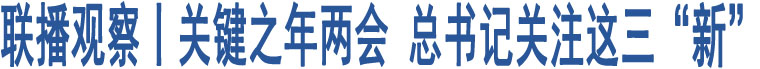 聯(lián)播觀察丨關鍵之年兩會 總書記關注這三“新”