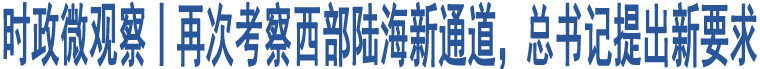 時(shí)政微觀察丨再次考察西部陸海新通道，總書記提出新要求